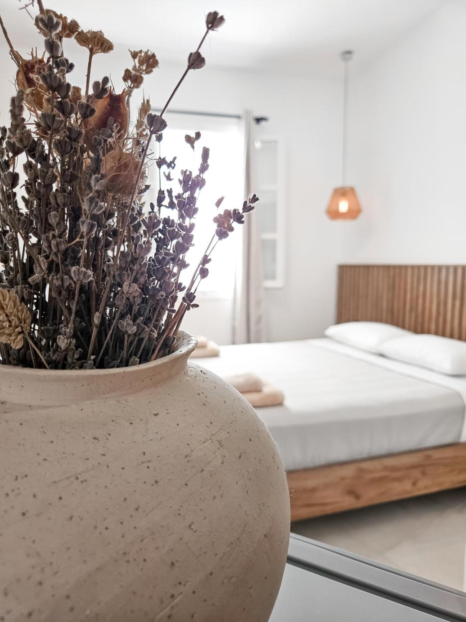 Oikia Suites Mykonos Mykonos Town Kültér fotó
